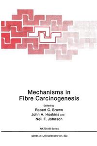 Mechanisms in Fibre Carcinogenesis