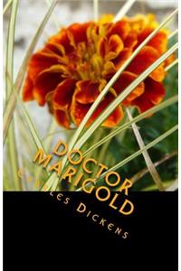 Doctor Marigold