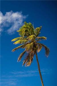 Palm Tree Journal