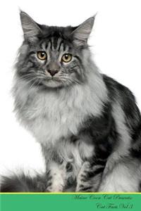 Maine Coon Cat Presents