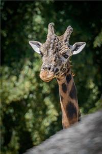 Irritated Giraffe Journal