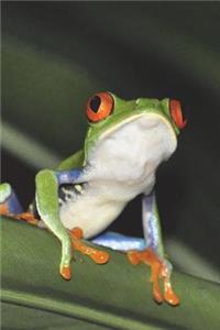 Say Hello to the Red-Eyed Tree Frog Journal
