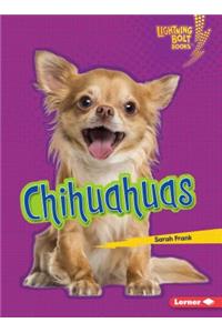 Chihuahuas