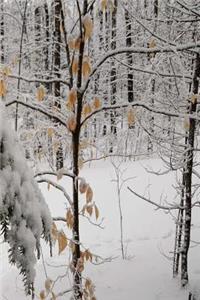 Winter Journal Scenic Snowy Woods