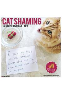Cat Shaming 2019 Wall Calendar