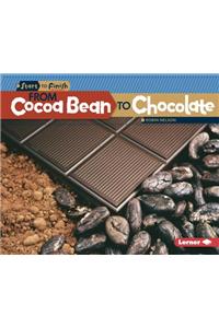 From Cocoa Bean to Chocolate