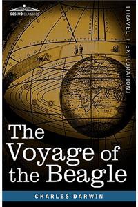 Voyage of the Beagle