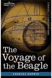 Voyage of the Beagle