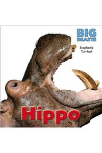 Hippo