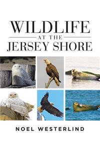 Wildlife at the Jersey Shore