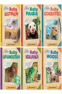 School & Library Active Minds Explorers Baby Animals Read-Along Series