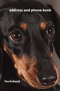 Address and Phone Book