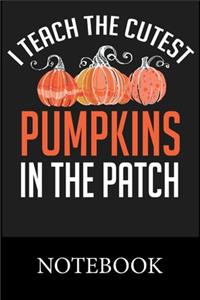 I Teach The Cutest Pumpkins In The Patch Notebook