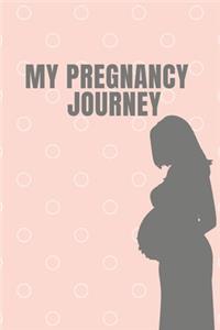 My Pregnancy Journey