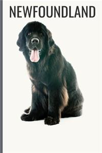 Newfoundland