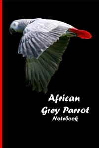 African Grey Parrot Notebook