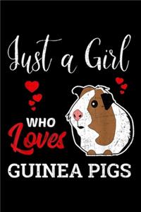 Just a Girl Who Loves Guinea Pigs
