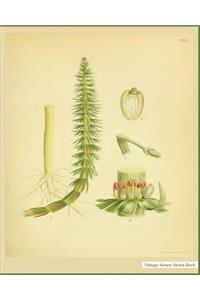 Nature Sketch Book