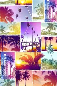 Miami Beach Tropical Journal