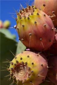 Fresh Prickly Pears Journal