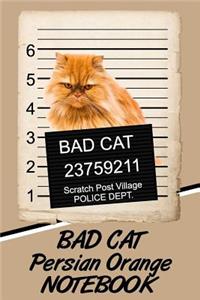 Bad Cat Persian Orange Notebook