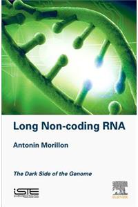 Long Non-Coding RNA