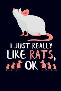 I Just Really Like Rats, Ok