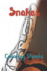 Snake Coloring Sheets