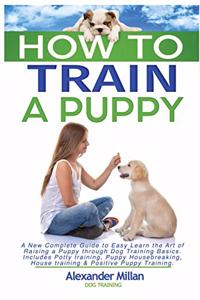 How to Train a Puppy