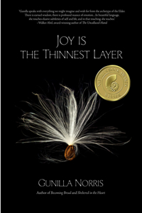 Joy is the Thinnest Layer