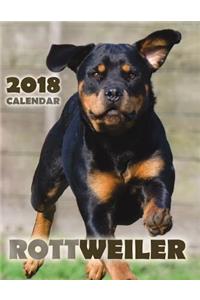 Rottweiler 2018 Calendar