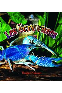 Les 'Crevisses (the Life Cycle of a Crayfish)