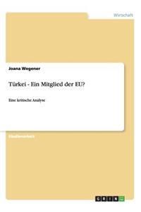 Türkei - Ein Mitglied der EU?: Eine kritische Analyse