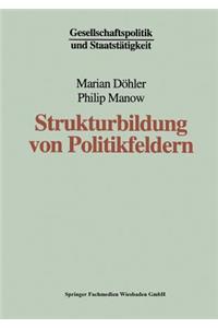 Strukturbildung Von Politikfeldern