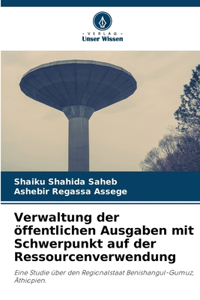Verwaltung der öffentlichen Ausgaben mit Schwerpunkt auf der Ressourcenverwendung