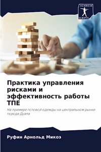 Практика управления рисками и эффективн