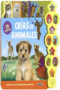 Crias de animales