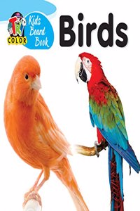 Kids Board Books - Birds