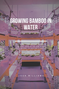 Growing Bamboo In Water
