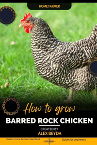 Barred Rock chicken