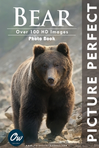 Bear: Picture Perfect Photo Book