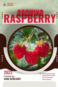 Raspberry