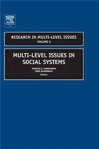 Multi-Level Issues in Social Systems
