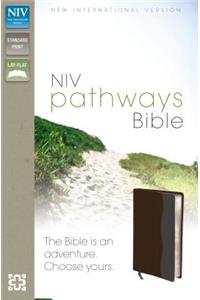 Pathways Bible-NIV