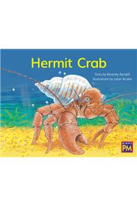 Hermit Crab