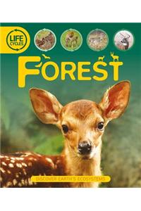 Life Cycles: Forest