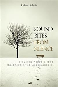 Sound Bites from Silence