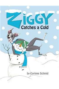 Ziggy Catches a Cold