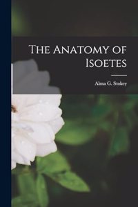 The Anatomy of Isoetes