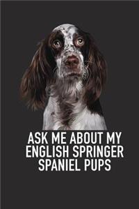 Ask Me about My English Springer Spaniel Pups